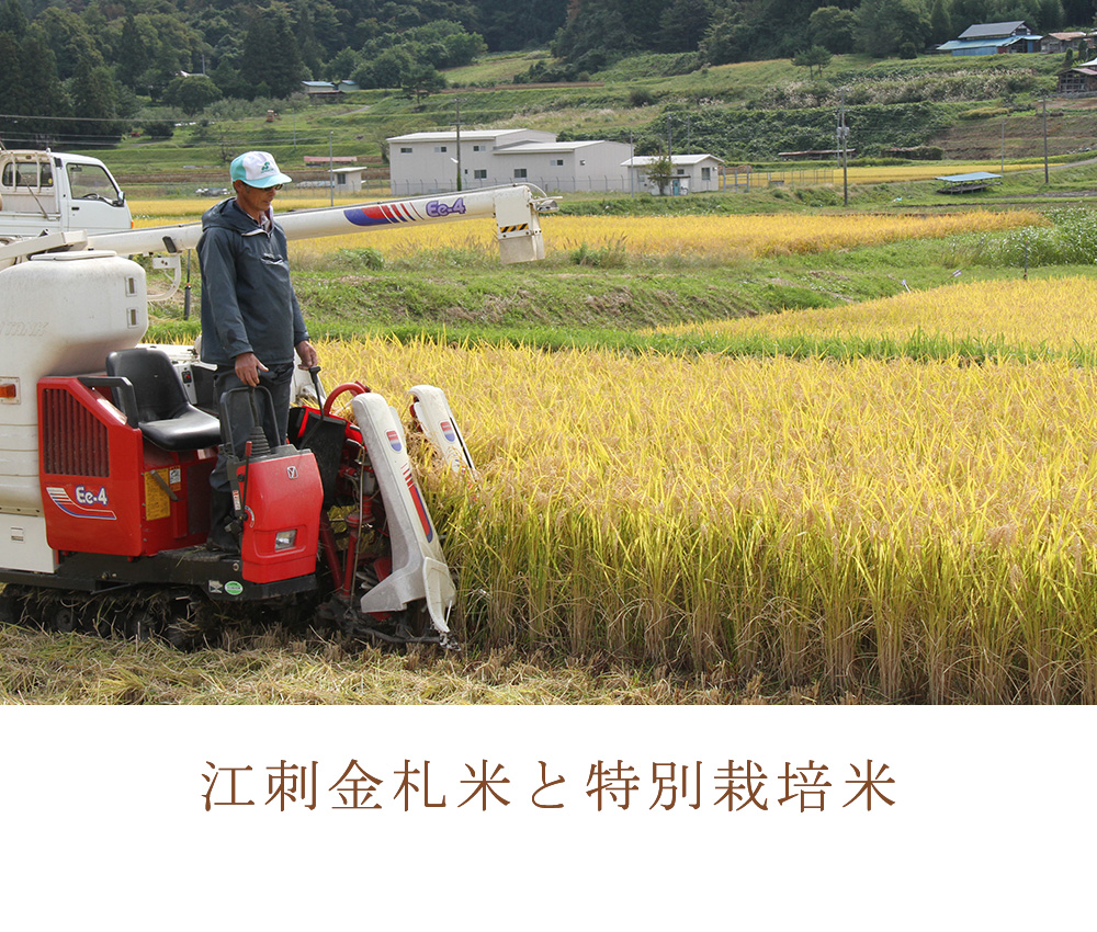 江刺金札米と特別栽培米