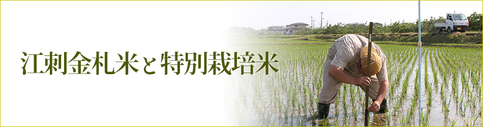 江刺金札米と特別栽培米