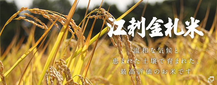 江刺金札米